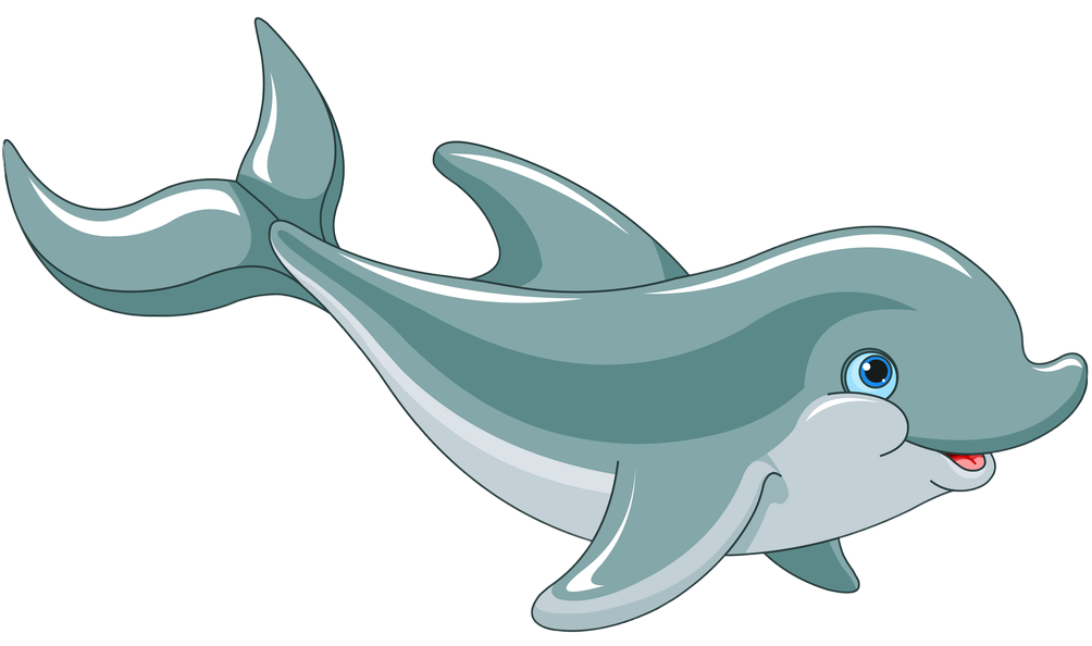 Dolphin